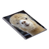 Een schattig gezicht van een alpiaca notitieboek (Rechterzijde)