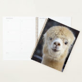 Een schattig gezicht van een alpiaca planner (Display)
