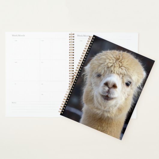Een schattig gezicht van een alpiaca planner (Display)
