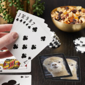 Een schattig gezicht van een alpiaca pokerkaarten (Insitu)