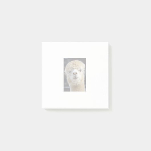 Een schattig gezicht van een alpiaca post-it® notes (Voorkant)