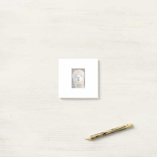 Een schattig gezicht van een alpiaca post-it® notes (Op bureau)