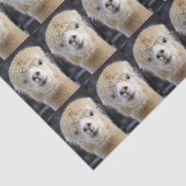 Een schattig gezicht van een alpiaca tissuepapier (Detail)