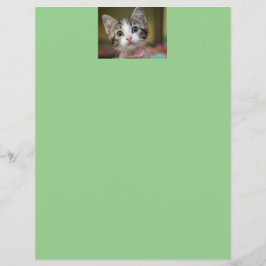 Een schattig katje met groene ogen
