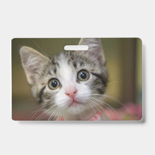Een schattig katje met groene ogen badge (Voorzijde)