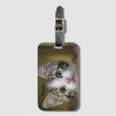 Een schattig katje met groene ogen bagagelabel (Voorkant (verticaal))