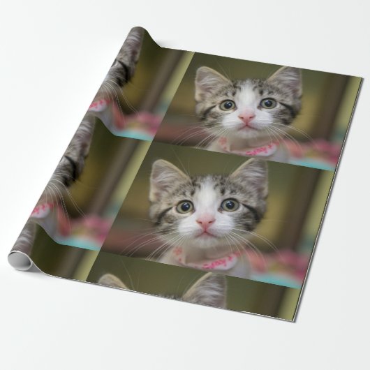 Een schattig katje met groene ogen cadeaupapier (Uitgerold)