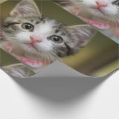 Een schattig katje met groene ogen cadeaupapier (Hoek)