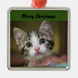 Een schattig katje met groene ogen metalen ornament