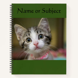 Een schattig katje met groene ogen notitieboek