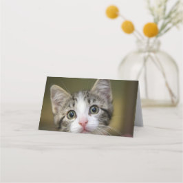 Een schattig katje met groene ogen plaatskaartje