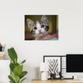 Een schattig katje met groene ogen poster (Thuiskantoor)