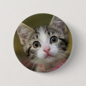 Een schattig katje met groene ogen ronde button 5,7 cm (Voorkant)