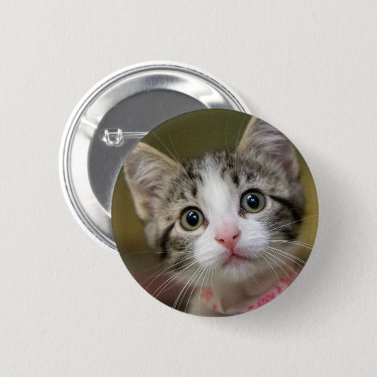 Een schattig katje met groene ogen ronde button 5,7 cm (Voorkant /achterkant)
