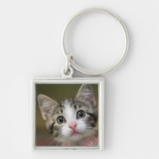 Een schattig katje met groene ogen sleutelhanger (Voorkant)