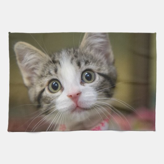 Een schattig katje met groene ogen theedoek (Horizontaal)