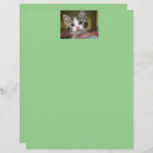 Een schattig kitten met groene ogen (Voorkant / Achterkant)