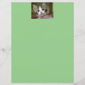 Een schattig kitten met groene ogen (Voorkant)