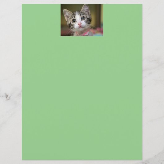 Een schattig kitten met groene ogen (Voorkant)