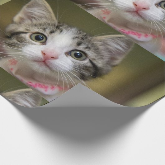 Een schattig kitten met groene ogen cadeaupapier (Hoek)