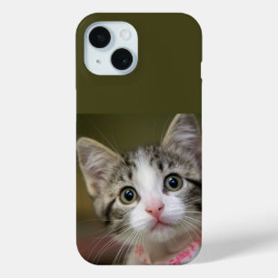 Een schattig kitten met groene ogen iPhone 15 case