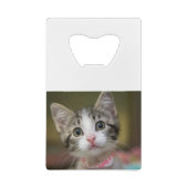 Een schattig kitten met groene ogen creditkaart flessenopener (Achterkant)