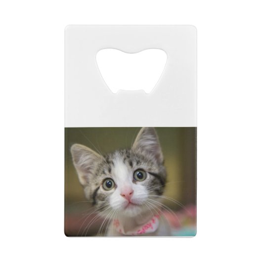 Een schattig kitten met groene ogen creditkaart flessenopener (Achterkant)