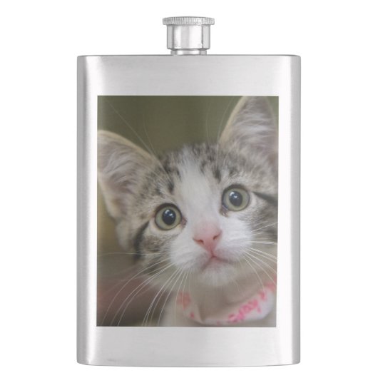 Een schattig kitten met groene ogen flacon (Voorkant)
