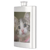 Een schattig kitten met groene ogen flacon (Links)