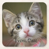 Een schattig kitten met groene ogen kartonnen onderzetters (Voorkant)