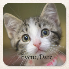 Een schattig kitten met groene ogen kartonnen onderzetters