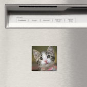Een schattig kitten met groene ogen magneet (Insitu (Vaatwasser))