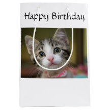 Een schattig kitten met groene ogen