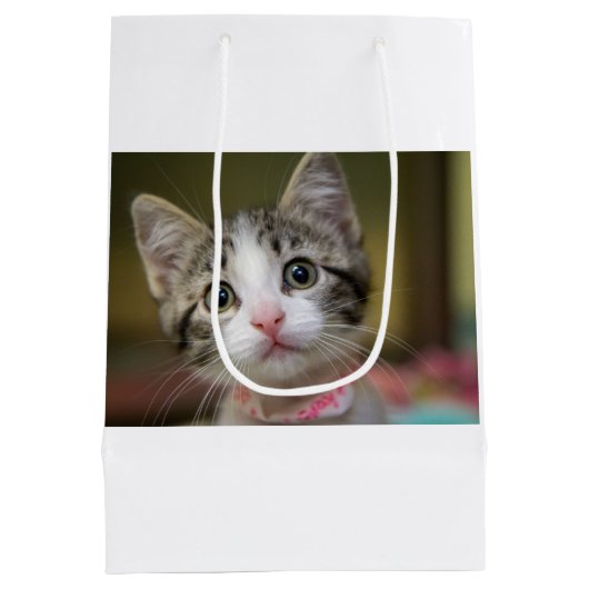 Een schattig kitten met groene ogen medium cadeauzakje (Achterkant)