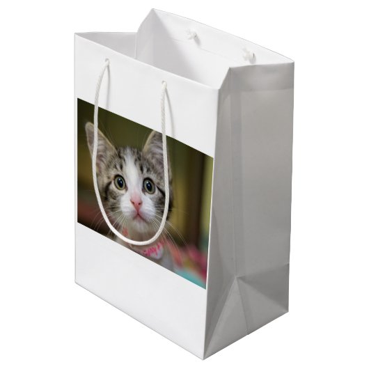 Een schattig kitten met groene ogen medium cadeauzakje (Achterkant Gekanteld)
