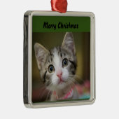 Een schattig kitten met groene ogen metalen ornament (Rechts)