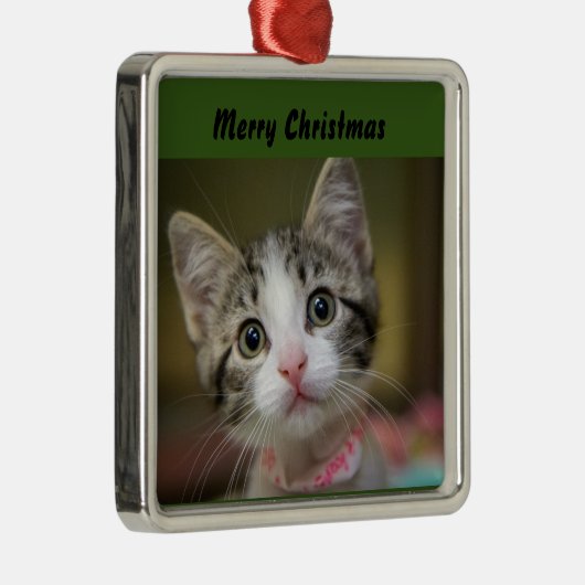 Een schattig kitten met groene ogen metalen ornament (Rechts)