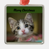 Een schattig kitten met groene ogen metalen ornament (Voorkant)