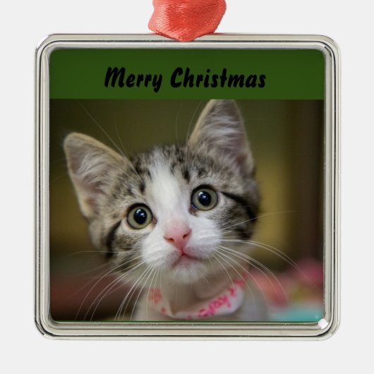 Een schattig kitten met groene ogen metalen ornament (Voorkant)