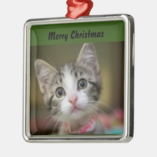 Een schattig kitten met groene ogen metalen ornament (Links)