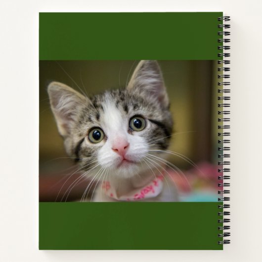 Een schattig kitten met groene ogen notitieboek (Achterkant)