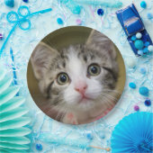 Een schattig kitten met groene ogen papieren bordje (Feest)