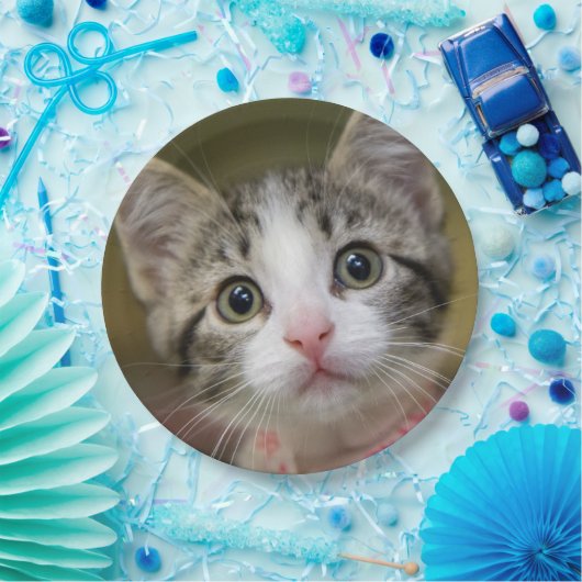 Een schattig kitten met groene ogen papieren bordje (Feest)