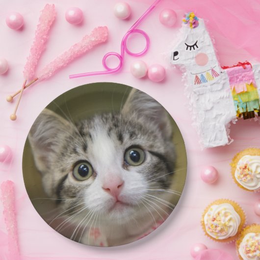 Een schattig kitten met groene ogen papieren bordje (Feest)