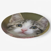 Een schattig kitten met groene ogen papieren bordje (Gekanteld)