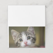 Een schattig kitten met groene ogen plaatskaartje (Buitenkant ongevouwen)