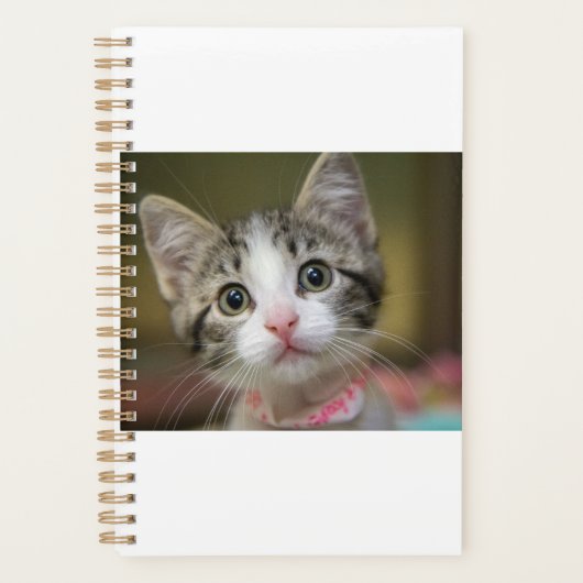 Een schattig kitten met groene ogen planner (Voorkant)
