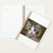 Een schattig kitten met groene ogen planner (Display)
