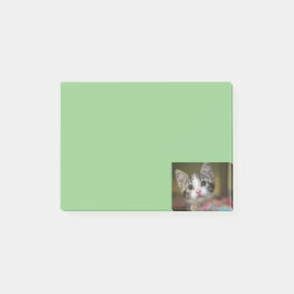 Een schattig kitten met groene ogen post-it® notes