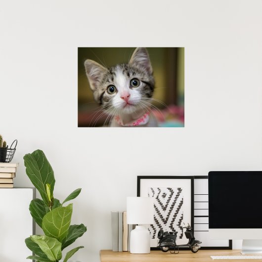 Een schattig kitten met groene ogen poster (Thuiskantoor)